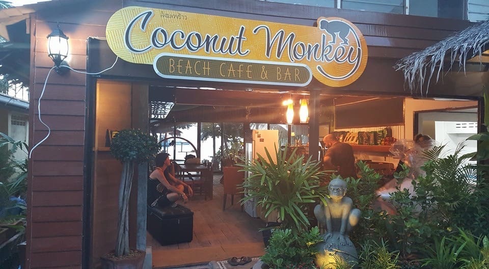 Coconut Monkey
