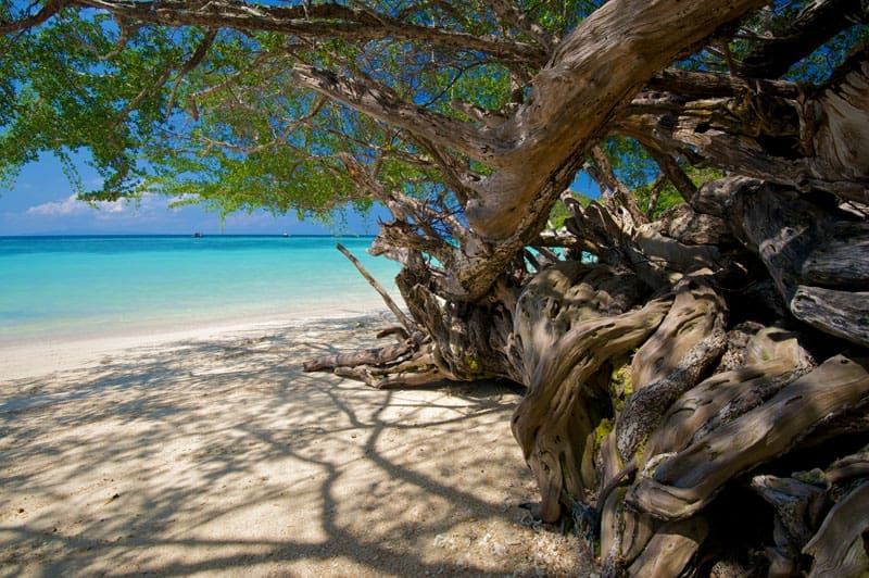Freedom beach, Koh Tao Thailand
