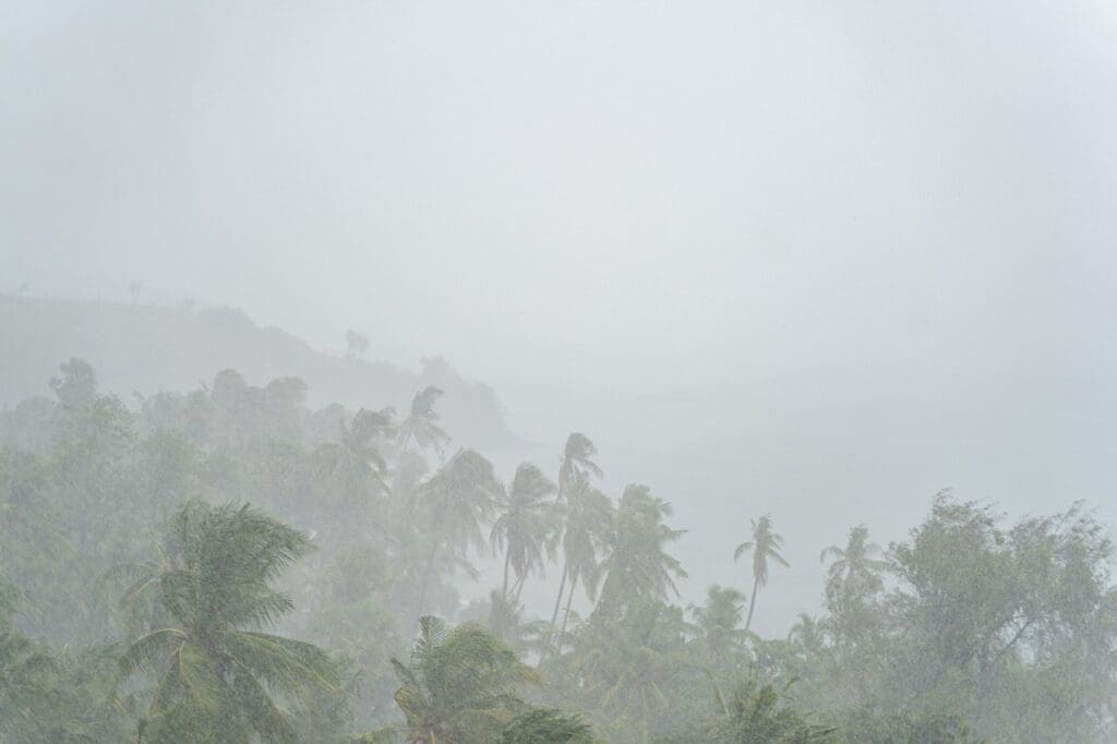 The Monsoon Season (June to November)