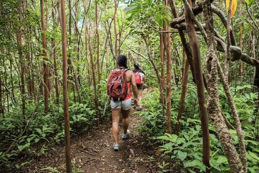 Koh Tao offers several hiking trails that lead to breathtaking viewpoints