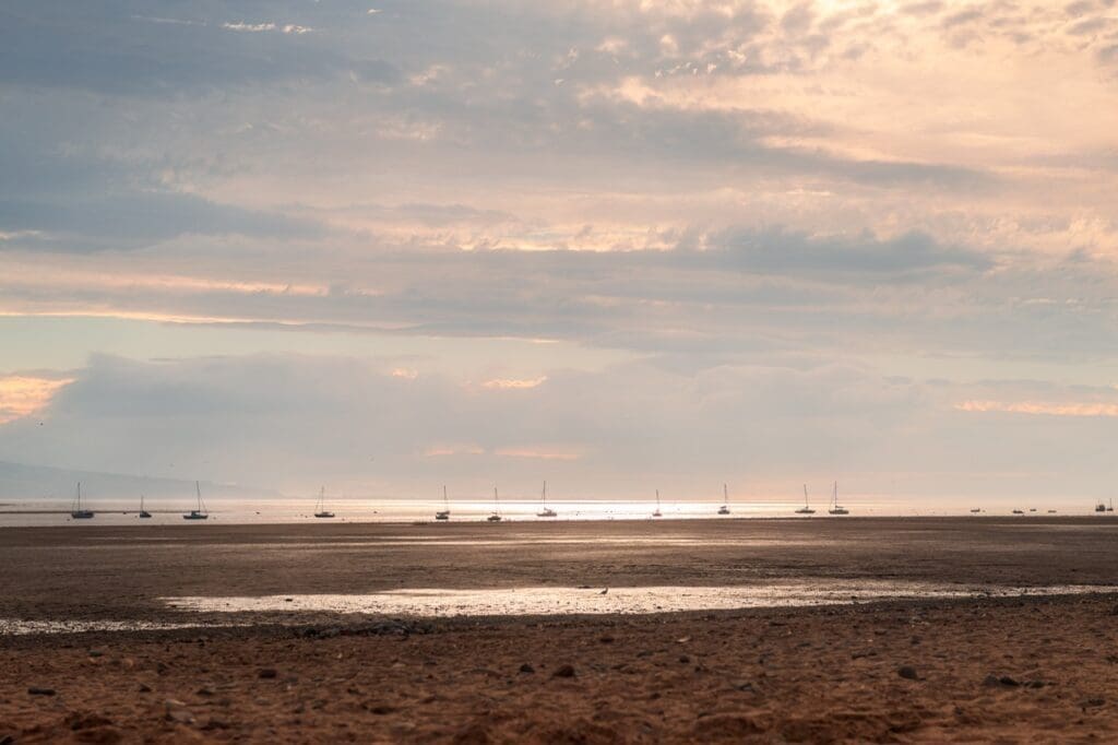 The Dry Season (December to February)