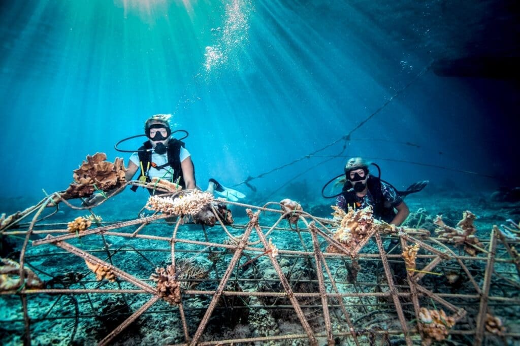 Marine Conservation Efforts