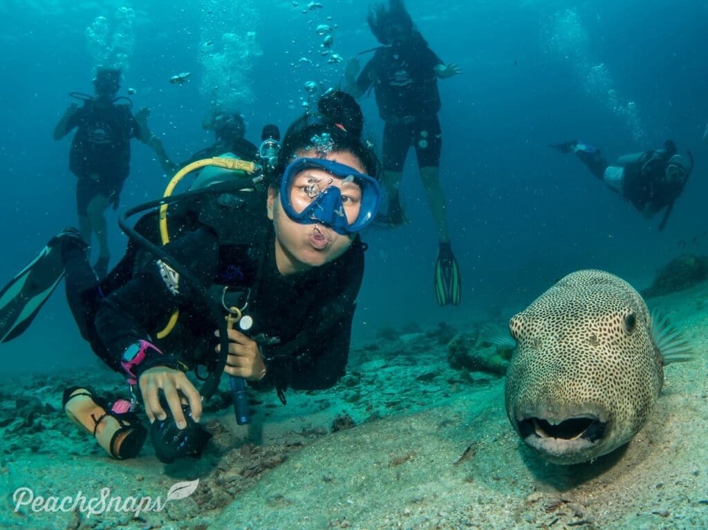 Hin Pee Wee Dive Site - Photo credit: Peachsnaps