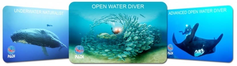 Top Dive Certification Courses in Koh Tao