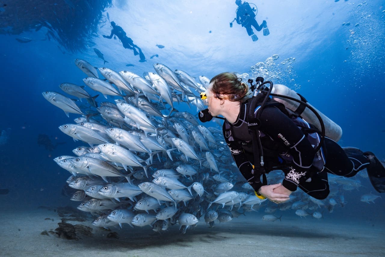 Top Things to Do in Koh Tao