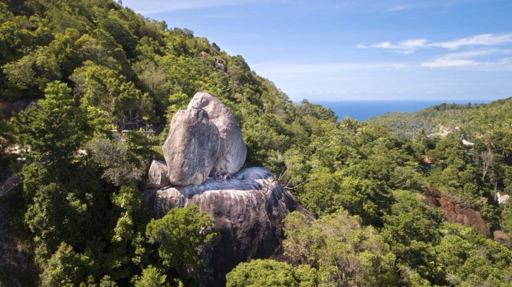 Two Views viewpoint
