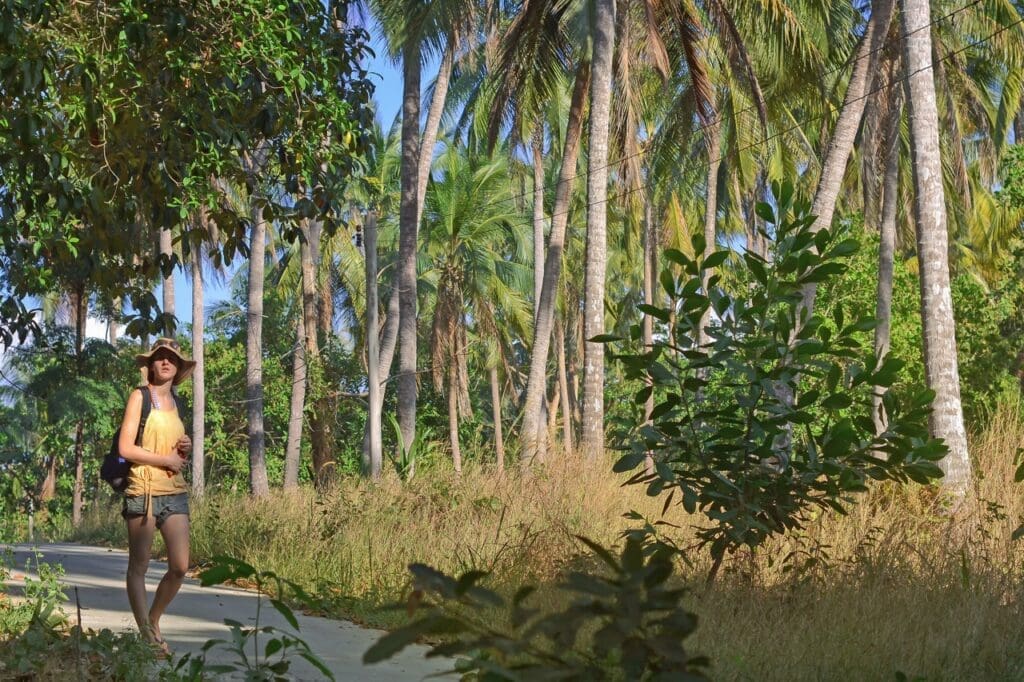 Walking Adventures