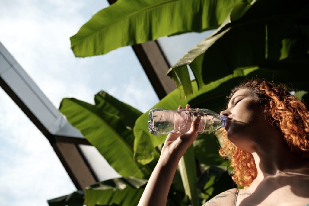 Stay Hydrated