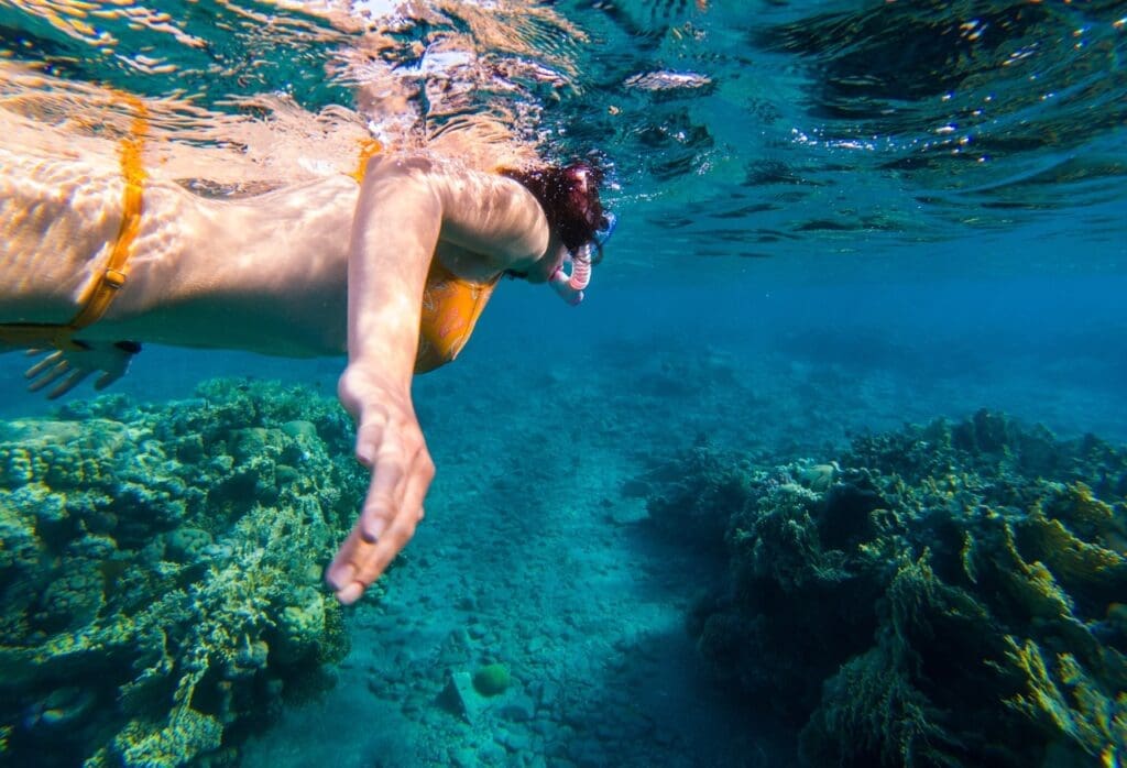 Snorkeling in tropical sea above coral reef