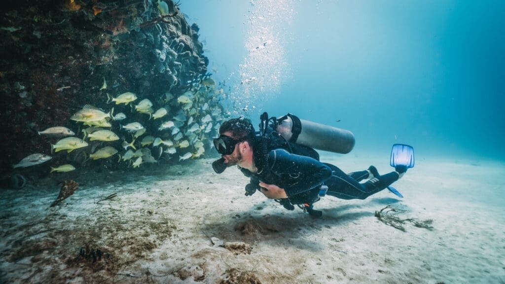 What is Koh Tao known for? Scuba Diving